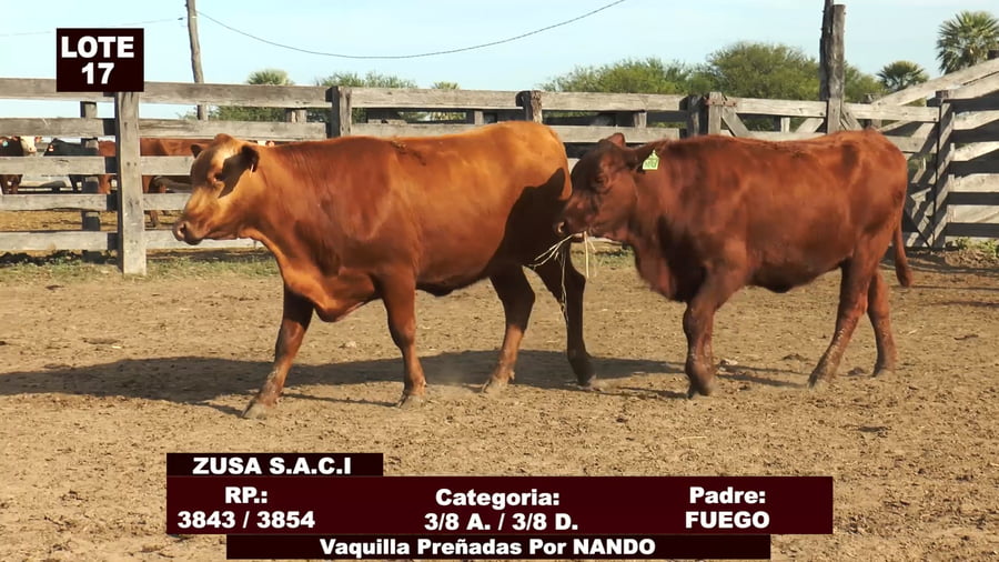 Lote Cabañas de Tradición - Lote 17