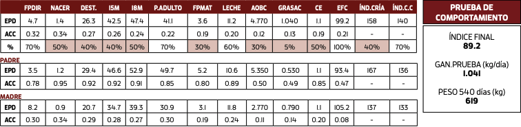 Lote PIQUILLIN REVOLUTION 150