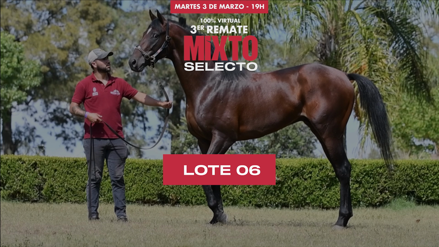 Lote ORISTANO (BRZ)