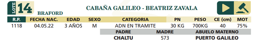 Lote LOTE 14