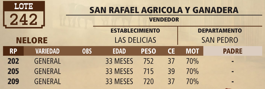 Lote LOTE 242 - VIVO