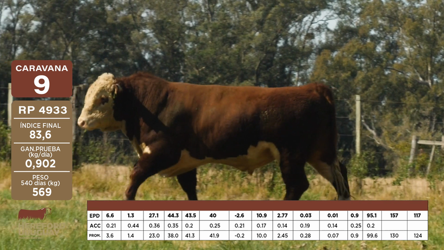 Lote Caravana 9 "CODASTOR SA"