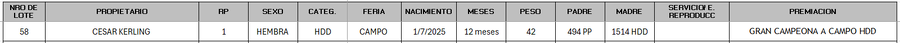 Lote LOTE 58 - CAMPO