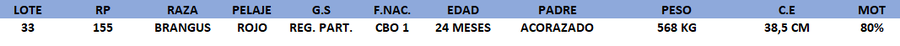 Lote LOTE 33