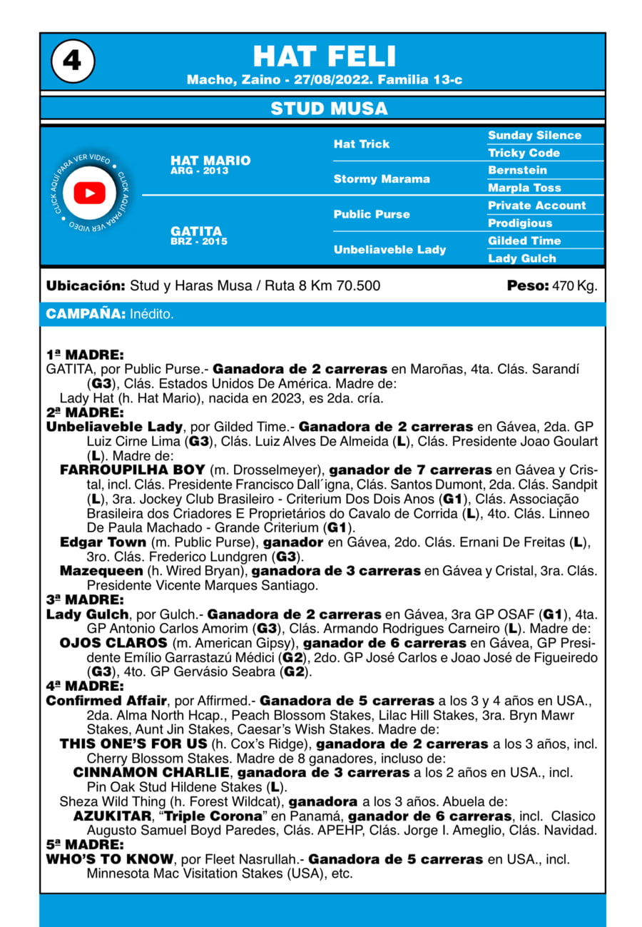 Lote LOTE 4 - HAT FELI