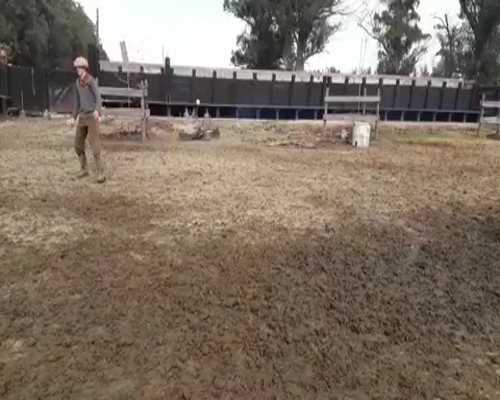 Lote 68 Terneros en Magdalena, Buenos Aires