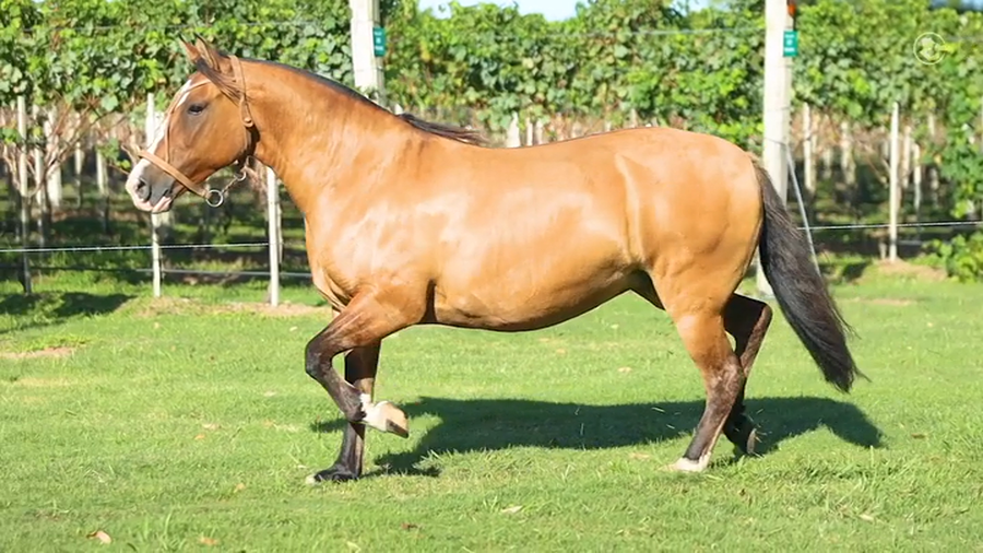 Lote Rincon Muchachita - Cabaña La Higuera