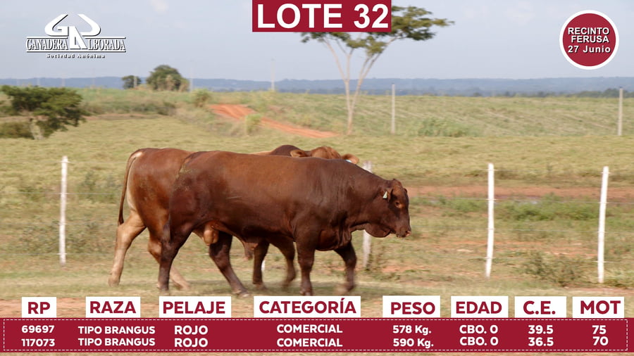 Lote Reproductores de Alborada - Lote 32