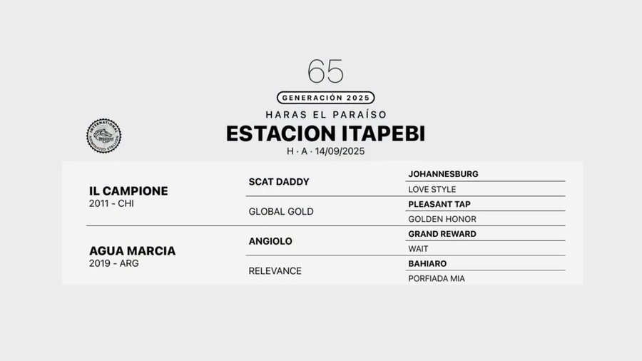 Lote ESTACION ITAPEVI