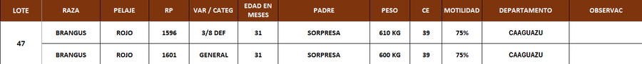 Lote LOTE 47