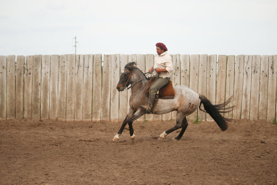 Lote LACAMPANA MAMADERA