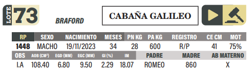 Lote LOTE 73