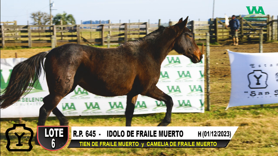 Lote IDOLO DE FRAILE MUERTO