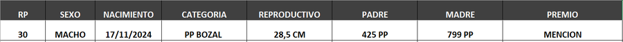 Lote LOTE 35- BOZAL