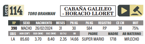 Lote LOTE 114