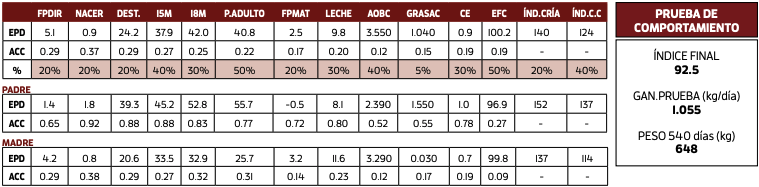 Lote S.E. REDEEM DURANGO
