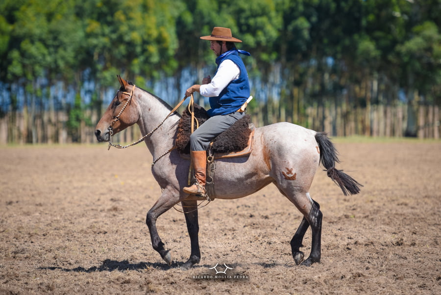 Lote RP 144 - Ganancia