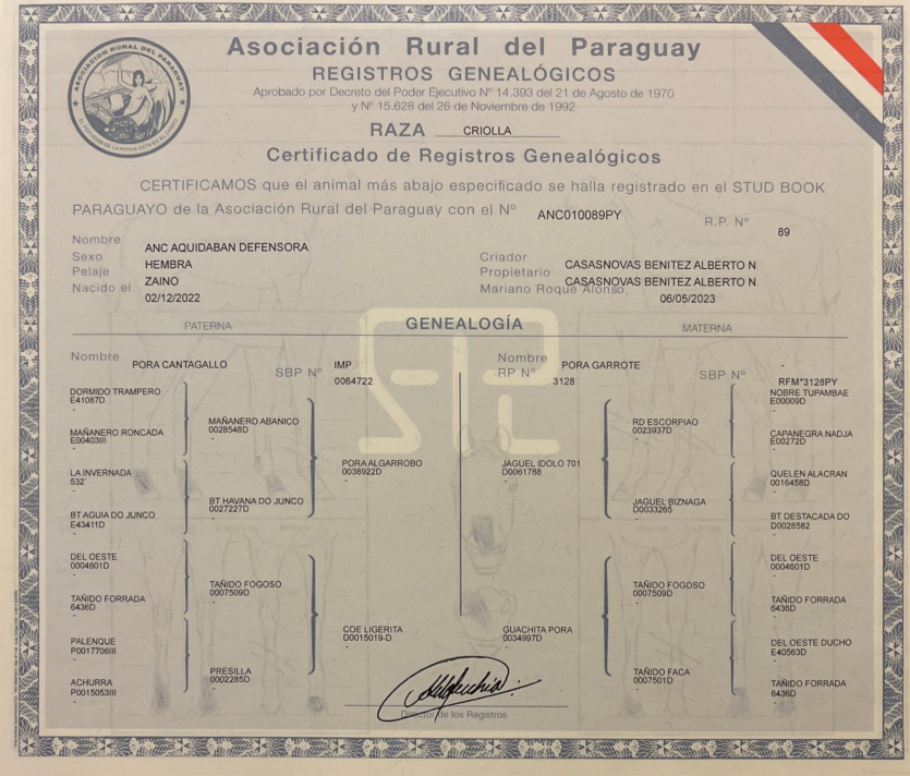 Lote LOTE 20 - DE CAMPO