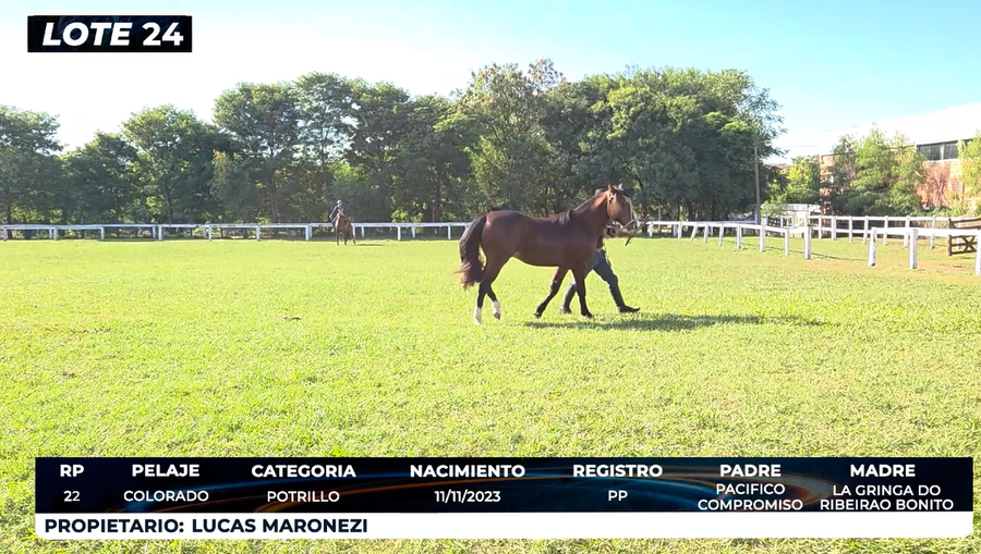 Lote LOTE 24- DE BOZAL