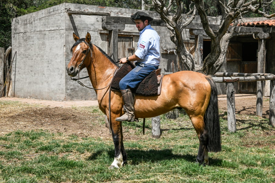 Lote TINAJERA SUPREMO