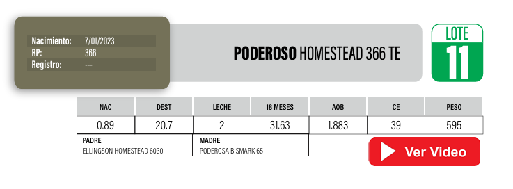 Lote Toros PI / PO / PC Angus a remate en Cabaña La Poderosa, Florida