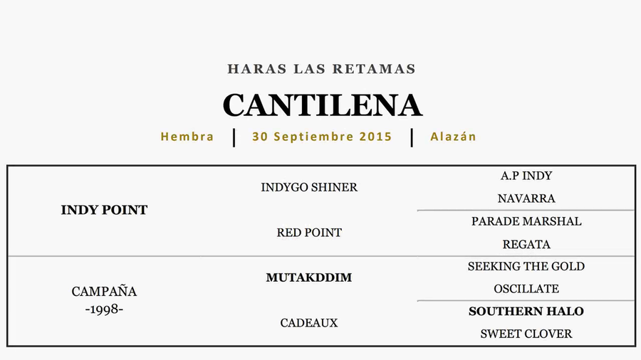 Lote CANTILENA (INDY POINT - CAMPAÑA) C/CRIA LE BLUES 2021'