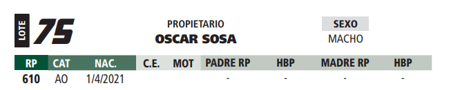 Lote LOTE 75