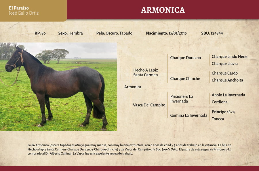 Lote Armonica (RP 86) - Cabaña El Paraíso