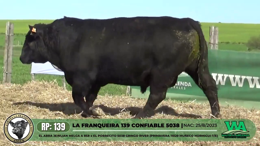 Lote LA FRANQUEIRA 139 CONFIABLE 5038