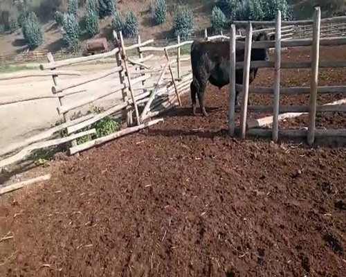 Lote 22 Torete en Melipilla, Región Metropolitana