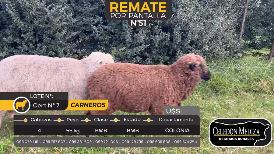 Lote 4 Carneros en Miguelete, Colonia