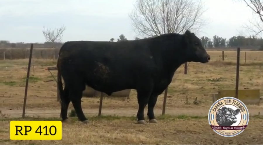 Lote CABAÑA DON FLORINDO