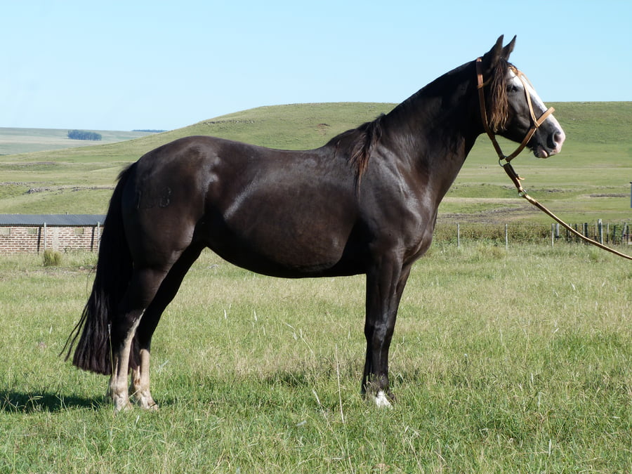 Lote Esperanza del Cerro Grande