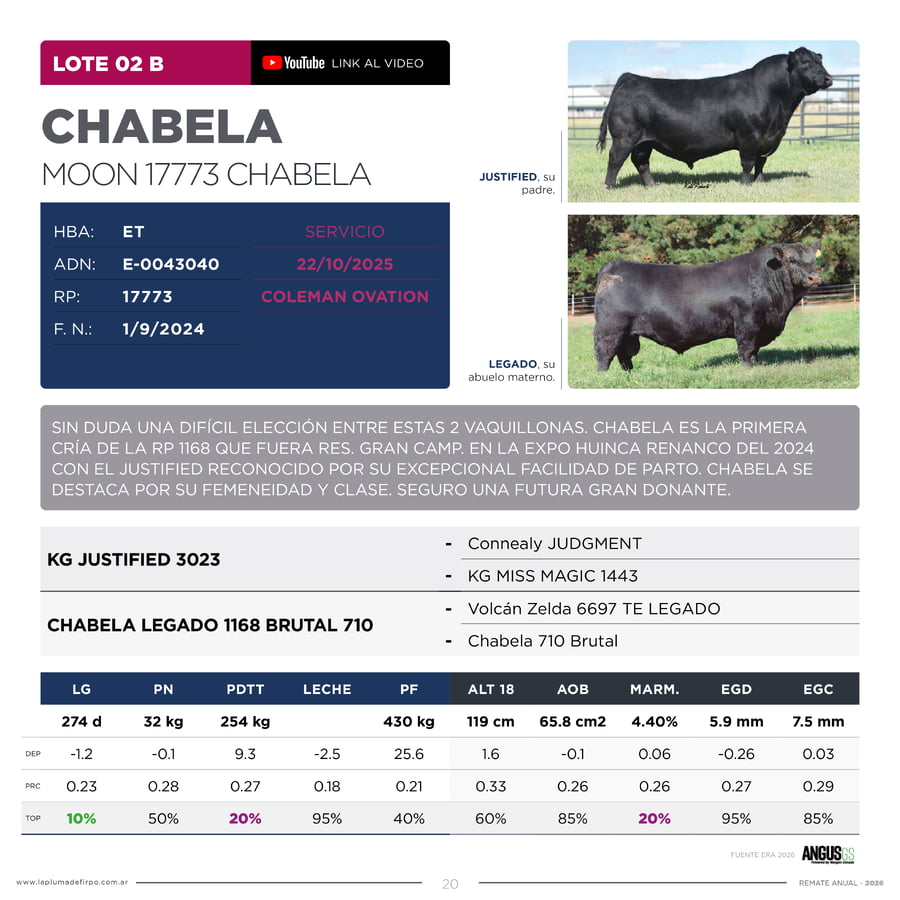 Lote RP 17771 Y 17773 - VAQUILLONAS PP ELITE VENTA DE UNA ELECCION