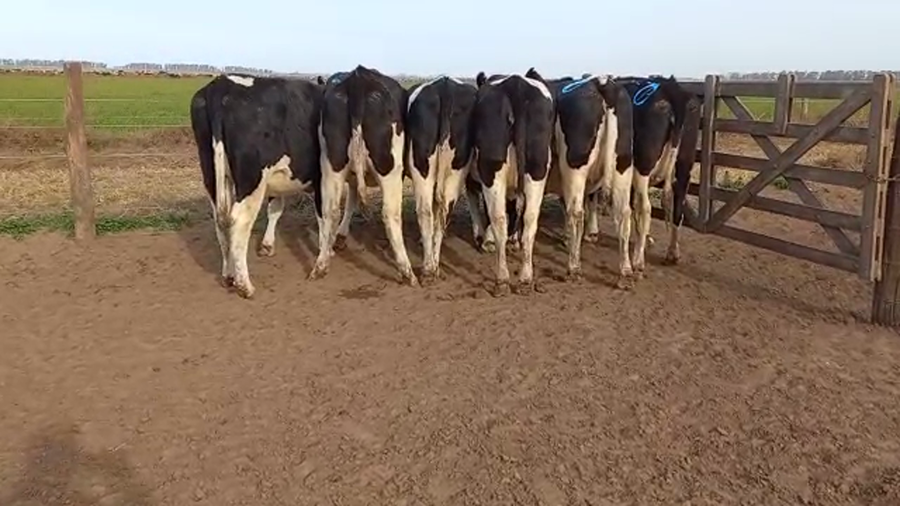 Lote Adeco Agropecuaria