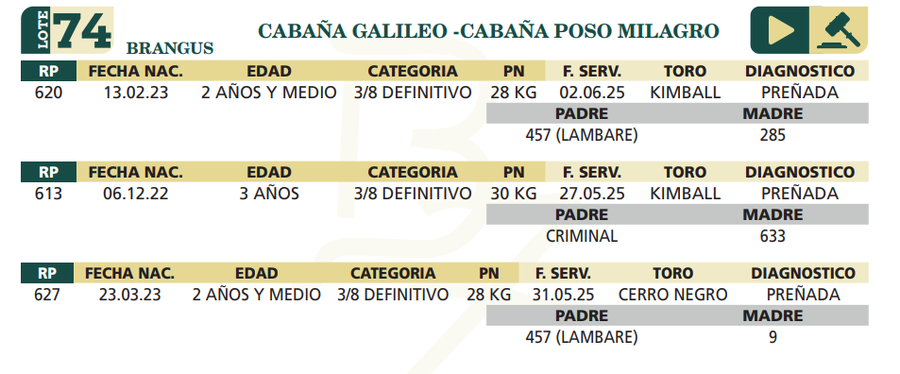 Lote LOTE 74