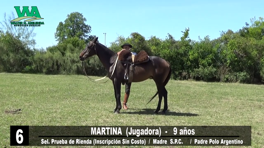 Lote MARTINA