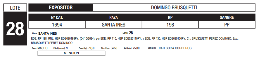 Lote LOTE 28