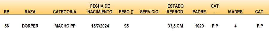 Lote LOTE 34