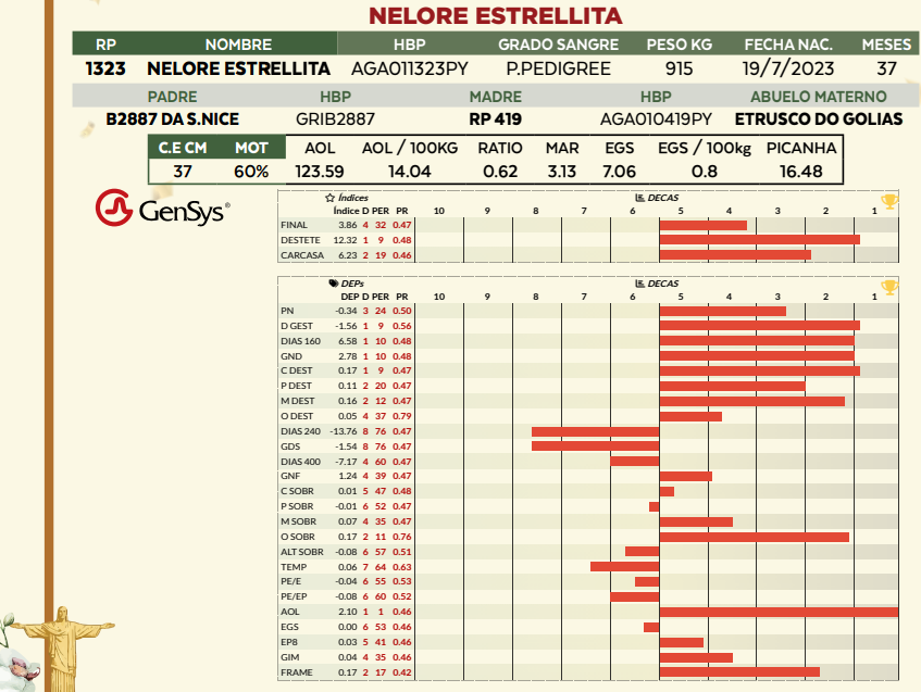 Lote LOTE 18