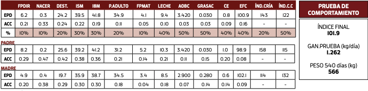 Lote PINGUELA 2651 3448