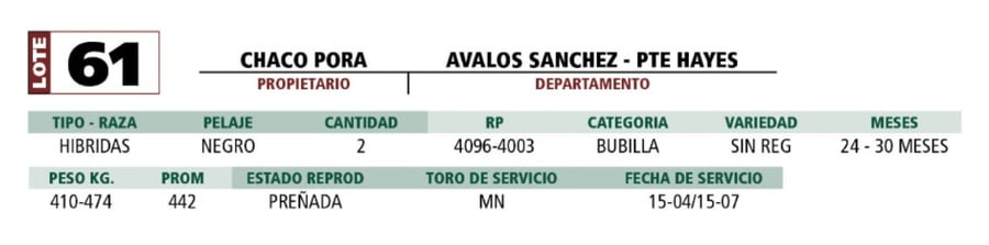 Lote LOTE 61