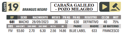 Lote LOTE 19