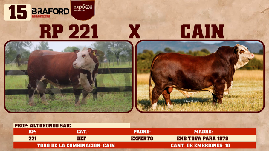 Lote LOTE 15