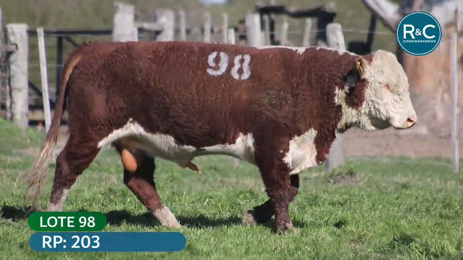 Lote Hereford