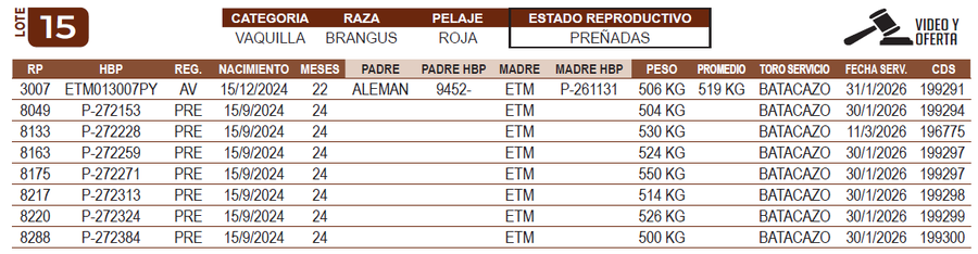 Lote LOTE 15