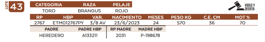 Lote LOTE 43
