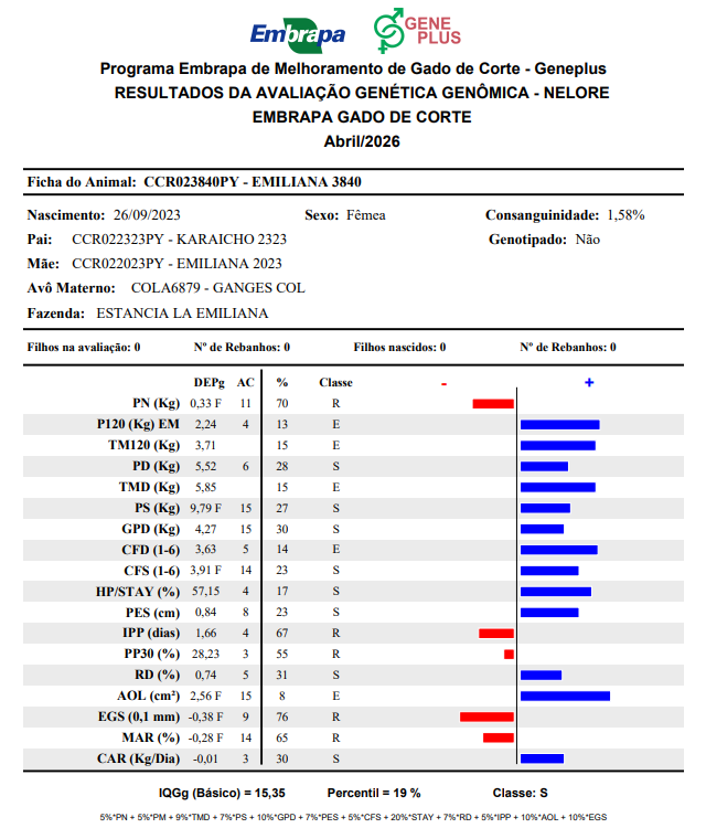 Lote LOTE 10