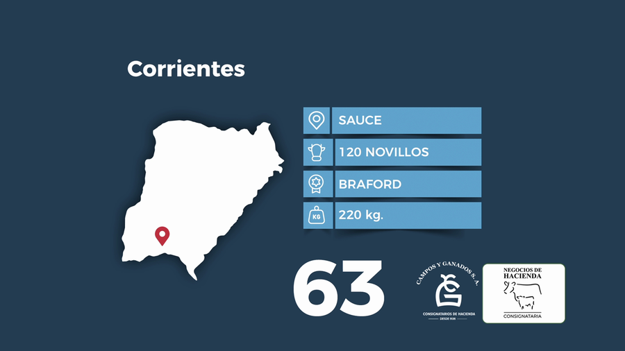 Lote 100 Terneros en Corrientes, Perugorría