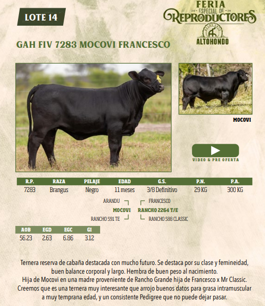 Lote LOTE 14